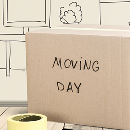 AK Movers Packing Service